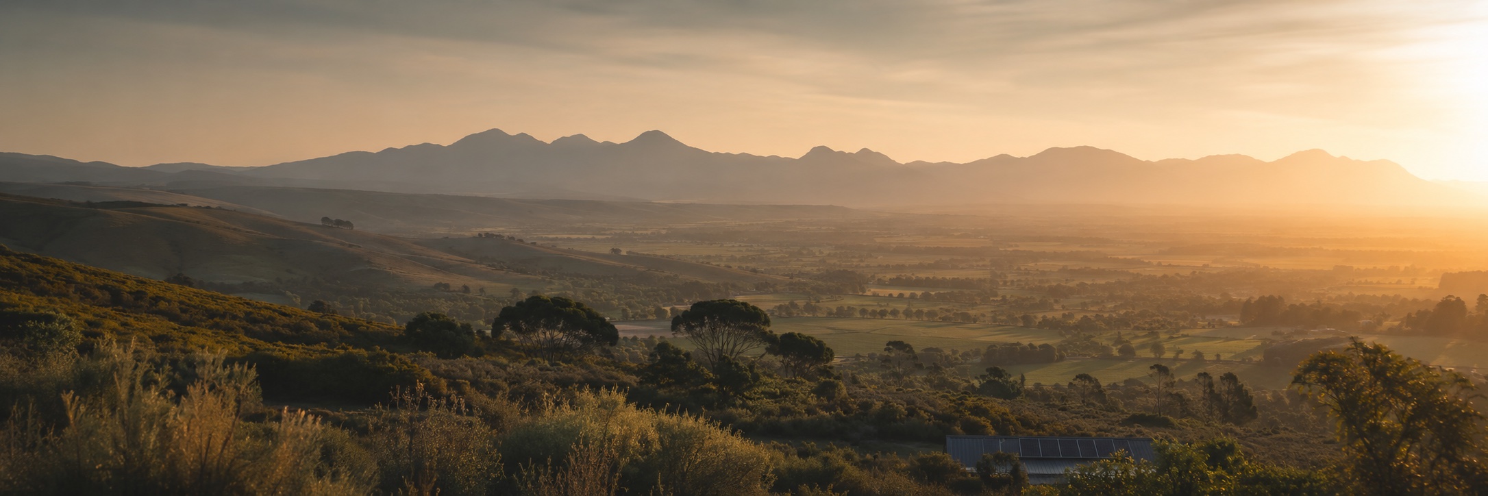 South African landscape at sunset